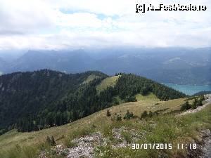 [P45]  -- <small>// FĂRĂ DESCRIERE</small> » foto by Alina53
 - 
<span class="allrVoted glyphicon glyphicon-heart hidden" id="av690027"></span>
<a class="m-l-10 hidden" id="sv690027" onclick="voting_Foto_DelVot(,690027,14815)" role="button">șterge vot <span class="glyphicon glyphicon-remove"></span></a>
<a id="v9690027" class=" c-red"  onclick="voting_Foto_SetVot(690027)" role="button"><span class="glyphicon glyphicon-heart-empty"></span> <b>LIKE</b> = Votează poza</a> <img class="hidden"  id="f690027W9" src="/imagini/loader.gif" border="0" /><span class="AjErrMes hidden" id="e690027ErM"></span>