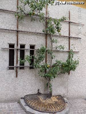 [P49]  -- <small>// FĂRĂ DESCRIERE</small> » foto by Alina53
 - 
<span class="allrVoted glyphicon glyphicon-heart hidden" id="av692207"></span>
<a class="m-l-10 hidden" id="sv692207" onclick="voting_Foto_DelVot(,692207,14815)" role="button">șterge vot <span class="glyphicon glyphicon-remove"></span></a>
<a id="v9692207" class=" c-red"  onclick="voting_Foto_SetVot(692207)" role="button"><span class="glyphicon glyphicon-heart-empty"></span> <b>LIKE</b> = Votează poza</a> <img class="hidden"  id="f692207W9" src="/imagini/loader.gif" border="0" /><span class="AjErrMes hidden" id="e692207ErM"></span>