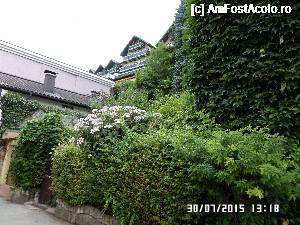 [P52]  -- <small>// FĂRĂ DESCRIERE</small> » foto by Alina53
 - 
<span class="allrVoted glyphicon glyphicon-heart hidden" id="av692210"></span>
<a class="m-l-10 hidden" id="sv692210" onclick="voting_Foto_DelVot(,692210,14815)" role="button">șterge vot <span class="glyphicon glyphicon-remove"></span></a>
<a id="v9692210" class=" c-red"  onclick="voting_Foto_SetVot(692210)" role="button"><span class="glyphicon glyphicon-heart-empty"></span> <b>LIKE</b> = Votează poza</a> <img class="hidden"  id="f692210W9" src="/imagini/loader.gif" border="0" /><span class="AjErrMes hidden" id="e692210ErM"></span>