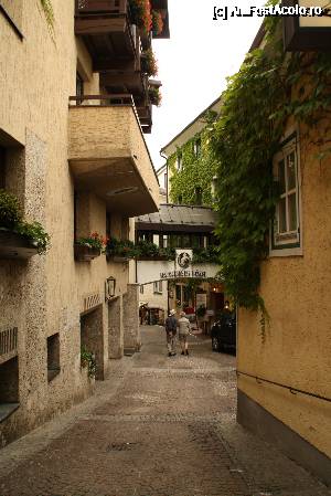 [P79]  -- <small>// FĂRĂ DESCRIERE</small> » foto by Alina53
 - 
<span class="allrVoted glyphicon glyphicon-heart hidden" id="av692239"></span>
<a class="m-l-10 hidden" id="sv692239" onclick="voting_Foto_DelVot(,692239,14815)" role="button">șterge vot <span class="glyphicon glyphicon-remove"></span></a>
<a id="v9692239" class=" c-red"  onclick="voting_Foto_SetVot(692239)" role="button"><span class="glyphicon glyphicon-heart-empty"></span> <b>LIKE</b> = Votează poza</a> <img class="hidden"  id="f692239W9" src="/imagini/loader.gif" border="0" /><span class="AjErrMes hidden" id="e692239ErM"></span>