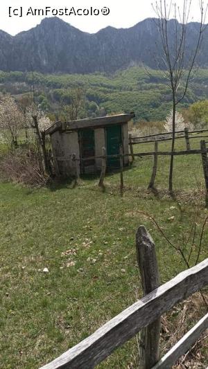 [P21] Toaletele școlii » foto by Daniela H
 - 
<span class="allrVoted glyphicon glyphicon-heart hidden" id="av1357818"></span>
<a class="m-l-10 hidden" id="sv1357818" onclick="voting_Foto_DelVot(,1357818,14820)" role="button">șterge vot <span class="glyphicon glyphicon-remove"></span></a>
<a id="v91357818" class=" c-red"  onclick="voting_Foto_SetVot(1357818)" role="button"><span class="glyphicon glyphicon-heart-empty"></span> <b>LIKE</b> = Votează poza</a> <img class="hidden"  id="f1357818W9" src="/imagini/loader.gif" border="0" /><span class="AjErrMes hidden" id="e1357818ErM"></span>