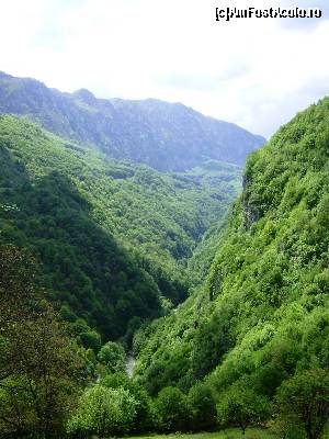 [P10] Valea Cernei » foto by Testosu'
 - 
<span class="allrVoted glyphicon glyphicon-heart hidden" id="av617540"></span>
<a class="m-l-10 hidden" id="sv617540" onclick="voting_Foto_DelVot(,617540,14820)" role="button">șterge vot <span class="glyphicon glyphicon-remove"></span></a>
<a id="v9617540" class=" c-red"  onclick="voting_Foto_SetVot(617540)" role="button"><span class="glyphicon glyphicon-heart-empty"></span> <b>LIKE</b> = Votează poza</a> <img class="hidden"  id="f617540W9" src="/imagini/loader.gif" border="0" /><span class="AjErrMes hidden" id="e617540ErM"></span>