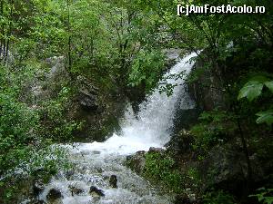 [P12]  -- <small>// FĂRĂ DESCRIERE</small> » foto by Testosu'
 - 
<span class="allrVoted glyphicon glyphicon-heart hidden" id="av617543"></span>
<a class="m-l-10 hidden" id="sv617543" onclick="voting_Foto_DelVot(,617543,14820)" role="button">șterge vot <span class="glyphicon glyphicon-remove"></span></a>
<a id="v9617543" class=" c-red"  onclick="voting_Foto_SetVot(617543)" role="button"><span class="glyphicon glyphicon-heart-empty"></span> <b>LIKE</b> = Votează poza</a> <img class="hidden"  id="f617543W9" src="/imagini/loader.gif" border="0" /><span class="AjErrMes hidden" id="e617543ErM"></span>