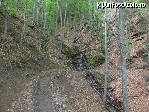 [P28] intre catune. e poteca ce trebuie parcursa in fiecare zi de cei cativa copii ce merg la scoala din Inelet » foto by Testosu'
 - 
<span class="allrVoted glyphicon glyphicon-heart hidden" id="av617559"></span>
<a class="m-l-10 hidden" id="sv617559" onclick="voting_Foto_DelVot(,617559,14820)" role="button">șterge vot <span class="glyphicon glyphicon-remove"></span></a>
<a id="v9617559" class=" c-red"  onclick="voting_Foto_SetVot(617559)" role="button"><span class="glyphicon glyphicon-heart-empty"></span> <b>LIKE</b> = Votează poza</a> <img class="hidden"  id="f617559W9" src="/imagini/loader.gif" border="0" /><span class="AjErrMes hidden" id="e617559ErM"></span>