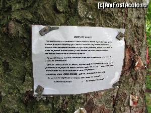 [P29]  :) spre stana lui tanti Maria » foto by Testosu'
 - 
<span class="allrVoted glyphicon glyphicon-heart hidden" id="av617560"></span>
<a class="m-l-10 hidden" id="sv617560" onclick="voting_Foto_DelVot(,617560,14820)" role="button">șterge vot <span class="glyphicon glyphicon-remove"></span></a>
<a id="v9617560" class=" c-red"  onclick="voting_Foto_SetVot(617560)" role="button"><span class="glyphicon glyphicon-heart-empty"></span> <b>LIKE</b> = Votează poza</a> <img class="hidden"  id="f617560W9" src="/imagini/loader.gif" border="0" /><span class="AjErrMes hidden" id="e617560ErM"></span>