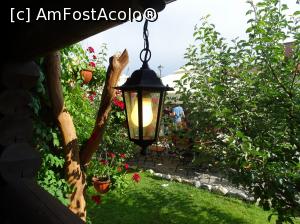 [P03]  -- <small>// FĂRĂ DESCRIERE</small> » foto by biancadd
 - 
<span class="allrVoted glyphicon glyphicon-heart hidden" id="av990251"></span>
<a class="m-l-10 hidden" id="sv990251" onclick="voting_Foto_DelVot(,990251,14872)" role="button">șterge vot <span class="glyphicon glyphicon-remove"></span></a>
<a id="v9990251" class=" c-red"  onclick="voting_Foto_SetVot(990251)" role="button"><span class="glyphicon glyphicon-heart-empty"></span> <b>LIKE</b> = Votează poza</a> <img class="hidden"  id="f990251W9" src="/imagini/loader.gif" border="0" /><span class="AjErrMes hidden" id="e990251ErM"></span>