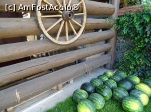 [P07]  -- <small>// FĂRĂ DESCRIERE</small> » foto by biancadd
 - 
<span class="allrVoted glyphicon glyphicon-heart hidden" id="av990255"></span>
<a class="m-l-10 hidden" id="sv990255" onclick="voting_Foto_DelVot(,990255,14872)" role="button">șterge vot <span class="glyphicon glyphicon-remove"></span></a>
<a id="v9990255" class=" c-red"  onclick="voting_Foto_SetVot(990255)" role="button"><span class="glyphicon glyphicon-heart-empty"></span> <b>LIKE</b> = Votează poza</a> <img class="hidden"  id="f990255W9" src="/imagini/loader.gif" border="0" /><span class="AjErrMes hidden" id="e990255ErM"></span>