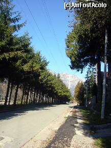 [P05] Drumul spre Vila Luminiş – Casa Memorială George Enescu » foto by magdalena
 - 
<span class="allrVoted glyphicon glyphicon-heart hidden" id="av277133"></span>
<a class="m-l-10 hidden" id="sv277133" onclick="voting_Foto_DelVot(,277133,14875)" role="button">șterge vot <span class="glyphicon glyphicon-remove"></span></a>
<a id="v9277133" class=" c-red"  onclick="voting_Foto_SetVot(277133)" role="button"><span class="glyphicon glyphicon-heart-empty"></span> <b>LIKE</b> = Votează poza</a> <img class="hidden"  id="f277133W9" src="/imagini/loader.gif" border="0" /><span class="AjErrMes hidden" id="e277133ErM"></span>