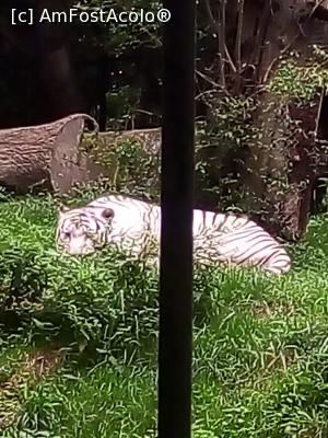 [P11]  -- <small>// FĂRĂ DESCRIERE</small> » foto by photozo
 - 
<span class="allrVoted glyphicon glyphicon-heart hidden" id="av1329238"></span>
<a class="m-l-10 hidden" id="sv1329238" onclick="voting_Foto_DelVot(,1329238,14876)" role="button">șterge vot <span class="glyphicon glyphicon-remove"></span></a>
<a id="v91329238" class=" c-red"  onclick="voting_Foto_SetVot(1329238)" role="button"><span class="glyphicon glyphicon-heart-empty"></span> <b>LIKE</b> = Votează poza</a> <img class="hidden"  id="f1329238W9" src="/imagini/loader.gif" border="0" /><span class="AjErrMes hidden" id="e1329238ErM"></span>