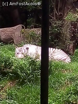 [P12]  -- <small>// FĂRĂ DESCRIERE</small> » foto by photozo
 - 
<span class="allrVoted glyphicon glyphicon-heart hidden" id="av1329239"></span>
<a class="m-l-10 hidden" id="sv1329239" onclick="voting_Foto_DelVot(,1329239,14876)" role="button">șterge vot <span class="glyphicon glyphicon-remove"></span></a>
<a id="v91329239" class=" c-red"  onclick="voting_Foto_SetVot(1329239)" role="button"><span class="glyphicon glyphicon-heart-empty"></span> <b>LIKE</b> = Votează poza</a> <img class="hidden"  id="f1329239W9" src="/imagini/loader.gif" border="0" /><span class="AjErrMes hidden" id="e1329239ErM"></span>