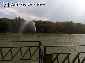 [P04]  -- <small>// FĂRĂ DESCRIERE</small> » foto by photozo
 - 
<span class="allrVoted glyphicon glyphicon-heart hidden" id="av1329231"></span>
<a class="m-l-10 hidden" id="sv1329231" onclick="voting_Foto_DelVot(,1329231,14876)" role="button">șterge vot <span class="glyphicon glyphicon-remove"></span></a>
<a id="v91329231" class=" c-red"  onclick="voting_Foto_SetVot(1329231)" role="button"><span class="glyphicon glyphicon-heart-empty"></span> <b>LIKE</b> = Votează poza</a> <img class="hidden"  id="f1329231W9" src="/imagini/loader.gif" border="0" /><span class="AjErrMes hidden" id="e1329231ErM"></span>