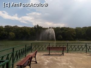 [P05]  -- <small>// FĂRĂ DESCRIERE</small> » foto by photozo
 - 
<span class="allrVoted glyphicon glyphicon-heart hidden" id="av1329232"></span>
<a class="m-l-10 hidden" id="sv1329232" onclick="voting_Foto_DelVot(,1329232,14876)" role="button">șterge vot <span class="glyphicon glyphicon-remove"></span></a>
<a id="v91329232" class=" c-red"  onclick="voting_Foto_SetVot(1329232)" role="button"><span class="glyphicon glyphicon-heart-empty"></span> <b>LIKE</b> = Votează poza</a> <img class="hidden"  id="f1329232W9" src="/imagini/loader.gif" border="0" /><span class="AjErrMes hidden" id="e1329232ErM"></span>