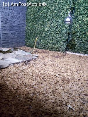 [P06]  -- <small>// FĂRĂ DESCRIERE</small> » foto by photozo
 - 
<span class="allrVoted glyphicon glyphicon-heart hidden" id="av1329233"></span>
<a class="m-l-10 hidden" id="sv1329233" onclick="voting_Foto_DelVot(,1329233,14876)" role="button">șterge vot <span class="glyphicon glyphicon-remove"></span></a>
<a id="v91329233" class=" c-red"  onclick="voting_Foto_SetVot(1329233)" role="button"><span class="glyphicon glyphicon-heart-empty"></span> <b>LIKE</b> = Votează poza</a> <img class="hidden"  id="f1329233W9" src="/imagini/loader.gif" border="0" /><span class="AjErrMes hidden" id="e1329233ErM"></span>