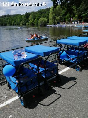 [P28] Cărucioare copii » foto by nelu73
 - 
<span class="allrVoted glyphicon glyphicon-heart hidden" id="av1234107"></span>
<a class="m-l-10 hidden" id="sv1234107" onclick="voting_Foto_DelVot(,1234107,14876)" role="button">șterge vot <span class="glyphicon glyphicon-remove"></span></a>
<a id="v91234107" class=" c-red"  onclick="voting_Foto_SetVot(1234107)" role="button"><span class="glyphicon glyphicon-heart-empty"></span> <b>LIKE</b> = Votează poza</a> <img class="hidden"  id="f1234107W9" src="/imagini/loader.gif" border="0" /><span class="AjErrMes hidden" id="e1234107ErM"></span>