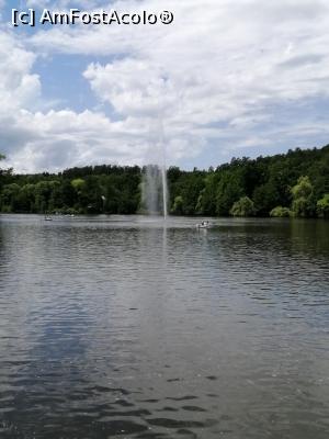 [P29] Lacul de la zoo » foto by nelu73
 - 
<span class="allrVoted glyphicon glyphicon-heart hidden" id="av1234108"></span>
<a class="m-l-10 hidden" id="sv1234108" onclick="voting_Foto_DelVot(,1234108,14876)" role="button">șterge vot <span class="glyphicon glyphicon-remove"></span></a>
<a id="v91234108" class=" c-red"  onclick="voting_Foto_SetVot(1234108)" role="button"><span class="glyphicon glyphicon-heart-empty"></span> <b>LIKE</b> = Votează poza</a> <img class="hidden"  id="f1234108W9" src="/imagini/loader.gif" border="0" /><span class="AjErrMes hidden" id="e1234108ErM"></span>