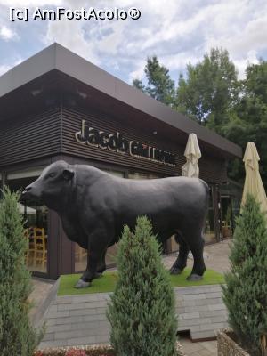 [P03] Jacob grill » foto by nelu73
 - 
<span class="allrVoted glyphicon glyphicon-heart hidden" id="av1234082"></span>
<a class="m-l-10 hidden" id="sv1234082" onclick="voting_Foto_DelVot(,1234082,14876)" role="button">șterge vot <span class="glyphicon glyphicon-remove"></span></a>
<a id="v91234082" class=" c-red"  onclick="voting_Foto_SetVot(1234082)" role="button"><span class="glyphicon glyphicon-heart-empty"></span> <b>LIKE</b> = Votează poza</a> <img class="hidden"  id="f1234082W9" src="/imagini/loader.gif" border="0" /><span class="AjErrMes hidden" id="e1234082ErM"></span>