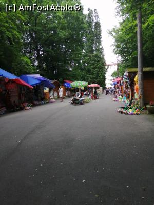 [P04] Aleea sper zoo » foto by nelu73
 - 
<span class="allrVoted glyphicon glyphicon-heart hidden" id="av1234083"></span>
<a class="m-l-10 hidden" id="sv1234083" onclick="voting_Foto_DelVot(,1234083,14876)" role="button">șterge vot <span class="glyphicon glyphicon-remove"></span></a>
<a id="v91234083" class=" c-red"  onclick="voting_Foto_SetVot(1234083)" role="button"><span class="glyphicon glyphicon-heart-empty"></span> <b>LIKE</b> = Votează poza</a> <img class="hidden"  id="f1234083W9" src="/imagini/loader.gif" border="0" /><span class="AjErrMes hidden" id="e1234083ErM"></span>