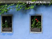 [P23]  -- <small>// FĂRĂ DESCRIERE</small> » foto by diana-s
 - 
<span class="allrVoted glyphicon glyphicon-heart hidden" id="av325377"></span>
<a class="m-l-10 hidden" id="sv325377" onclick="voting_Foto_DelVot(,325377,14876)" role="button">șterge vot <span class="glyphicon glyphicon-remove"></span></a>
<a id="v9325377" class=" c-red"  onclick="voting_Foto_SetVot(325377)" role="button"><span class="glyphicon glyphicon-heart-empty"></span> <b>LIKE</b> = Votează poza</a> <img class="hidden"  id="f325377W9" src="/imagini/loader.gif" border="0" /><span class="AjErrMes hidden" id="e325377ErM"></span>