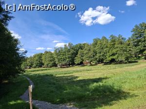 [P25] Parcele cultivate cu cereale » foto by Carmen Ion
 - 
<span class="allrVoted glyphicon glyphicon-heart hidden" id="av1512860"></span>
<a class="m-l-10 hidden" id="sv1512860" onclick="voting_Foto_DelVot(,1512860,14876)" role="button">șterge vot <span class="glyphicon glyphicon-remove"></span></a>
<a id="v91512860" class=" c-red"  onclick="voting_Foto_SetVot(1512860)" role="button"><span class="glyphicon glyphicon-heart-empty"></span> <b>LIKE</b> = Votează poza</a> <img class="hidden"  id="f1512860W9" src="/imagini/loader.gif" border="0" /><span class="AjErrMes hidden" id="e1512860ErM"></span>