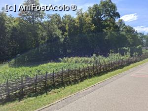 [P28] Parcelă cultivată cu legume » foto by Carmen Ion
 - 
<span class="allrVoted glyphicon glyphicon-heart hidden" id="av1512863"></span>
<a class="m-l-10 hidden" id="sv1512863" onclick="voting_Foto_DelVot(,1512863,14876)" role="button">șterge vot <span class="glyphicon glyphicon-remove"></span></a>
<a id="v91512863" class=" c-red"  onclick="voting_Foto_SetVot(1512863)" role="button"><span class="glyphicon glyphicon-heart-empty"></span> <b>LIKE</b> = Votează poza</a> <img class="hidden"  id="f1512863W9" src="/imagini/loader.gif" border="0" /><span class="AjErrMes hidden" id="e1512863ErM"></span>