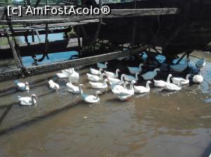 [P03] Muzeul Astra » foto by ⭐ValentinB_88⭐
 - 
<span class="allrVoted glyphicon glyphicon-heart hidden" id="av1211469"></span>
<a class="m-l-10 hidden" id="sv1211469" onclick="voting_Foto_DelVot(,1211469,14876)" role="button">șterge vot <span class="glyphicon glyphicon-remove"></span></a>
<a id="v91211469" class=" c-red"  onclick="voting_Foto_SetVot(1211469)" role="button"><span class="glyphicon glyphicon-heart-empty"></span> <b>LIKE</b> = Votează poza</a> <img class="hidden"  id="f1211469W9" src="/imagini/loader.gif" border="0" /><span class="AjErrMes hidden" id="e1211469ErM"></span>