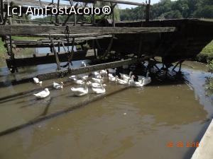 [P06] Muzeul Astra » foto by ⭐ValentinB_88⭐
 - 
<span class="allrVoted glyphicon glyphicon-heart hidden" id="av1211645"></span>
<a class="m-l-10 hidden" id="sv1211645" onclick="voting_Foto_DelVot(,1211645,14876)" role="button">șterge vot <span class="glyphicon glyphicon-remove"></span></a>
<a id="v91211645" class=" c-red"  onclick="voting_Foto_SetVot(1211645)" role="button"><span class="glyphicon glyphicon-heart-empty"></span> <b>LIKE</b> = Votează poza</a> <img class="hidden"  id="f1211645W9" src="/imagini/loader.gif" border="0" /><span class="AjErrMes hidden" id="e1211645ErM"></span>