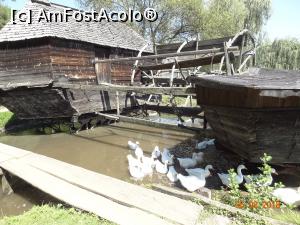 [P07] Muzeul Astra » foto by ⭐ValentinB_88⭐
 - 
<span class="allrVoted glyphicon glyphicon-heart hidden" id="av1211646"></span>
<a class="m-l-10 hidden" id="sv1211646" onclick="voting_Foto_DelVot(,1211646,14876)" role="button">șterge vot <span class="glyphicon glyphicon-remove"></span></a>
<a id="v91211646" class=" c-red"  onclick="voting_Foto_SetVot(1211646)" role="button"><span class="glyphicon glyphicon-heart-empty"></span> <b>LIKE</b> = Votează poza</a> <img class="hidden"  id="f1211646W9" src="/imagini/loader.gif" border="0" /><span class="AjErrMes hidden" id="e1211646ErM"></span>