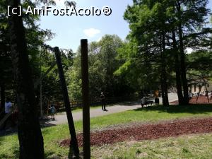 [P01] <strong>Zoo Sibiu</strong> » foto by ⭐ValentinB_88⭐
 - 
<span class="allrVoted glyphicon glyphicon-heart hidden" id="av1235393"></span>
<a class="m-l-10 hidden" id="sv1235393" onclick="voting_Foto_DelVot(,1235393,14876)" role="button">șterge vot <span class="glyphicon glyphicon-remove"></span></a>
<a id="v91235393" class=" c-red"  onclick="voting_Foto_SetVot(1235393)" role="button"><span class="glyphicon glyphicon-heart-empty"></span> <b>LIKE</b> = Votează poza</a> <img class="hidden"  id="f1235393W9" src="/imagini/loader.gif" border="0" /><span class="AjErrMes hidden" id="e1235393ErM"></span>