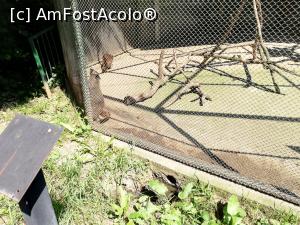 [P15] <strong>Zoo Sibiu</strong> » foto by ⭐ValentinB_88⭐
 - 
<span class="allrVoted glyphicon glyphicon-heart hidden" id="av1235407"></span>
<a class="m-l-10 hidden" id="sv1235407" onclick="voting_Foto_DelVot(,1235407,14876)" role="button">șterge vot <span class="glyphicon glyphicon-remove"></span></a>
<a id="v91235407" class=" c-red"  onclick="voting_Foto_SetVot(1235407)" role="button"><span class="glyphicon glyphicon-heart-empty"></span> <b>LIKE</b> = Votează poza</a> <img class="hidden"  id="f1235407W9" src="/imagini/loader.gif" border="0" /><span class="AjErrMes hidden" id="e1235407ErM"></span>