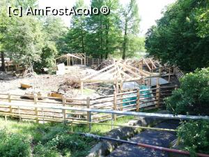 [P02] <strong>Zoo Sibiu</strong> » foto by ⭐ValentinB_88⭐
 - 
<span class="allrVoted glyphicon glyphicon-heart hidden" id="av1235394"></span>
<a class="m-l-10 hidden" id="sv1235394" onclick="voting_Foto_DelVot(,1235394,14876)" role="button">șterge vot <span class="glyphicon glyphicon-remove"></span></a>
<a id="v91235394" class=" c-red"  onclick="voting_Foto_SetVot(1235394)" role="button"><span class="glyphicon glyphicon-heart-empty"></span> <b>LIKE</b> = Votează poza</a> <img class="hidden"  id="f1235394W9" src="/imagini/loader.gif" border="0" /><span class="AjErrMes hidden" id="e1235394ErM"></span>