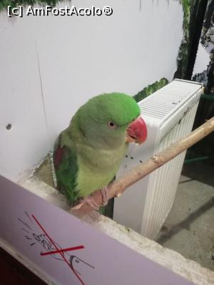 [P26] <strong>Zoo Sibiu</strong> » foto by ⭐ValentinB_88⭐
 - 
<span class="allrVoted glyphicon glyphicon-heart hidden" id="av1235418"></span>
<a class="m-l-10 hidden" id="sv1235418" onclick="voting_Foto_DelVot(,1235418,14876)" role="button">șterge vot <span class="glyphicon glyphicon-remove"></span></a>
<a id="v91235418" class=" c-red"  onclick="voting_Foto_SetVot(1235418)" role="button"><span class="glyphicon glyphicon-heart-empty"></span> <b>LIKE</b> = Votează poza</a> <img class="hidden"  id="f1235418W9" src="/imagini/loader.gif" border="0" /><span class="AjErrMes hidden" id="e1235418ErM"></span>