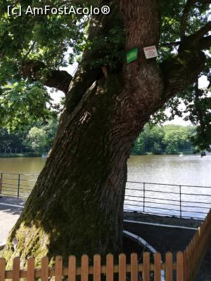 [P06] <strong>Zoo Sibiu</strong> » foto by ⭐ValentinB_88⭐
 - 
<span class="allrVoted glyphicon glyphicon-heart hidden" id="av1235398"></span>
<a class="m-l-10 hidden" id="sv1235398" onclick="voting_Foto_DelVot(,1235398,14876)" role="button">șterge vot <span class="glyphicon glyphicon-remove"></span></a>
<a id="v91235398" class=" c-red"  onclick="voting_Foto_SetVot(1235398)" role="button"><span class="glyphicon glyphicon-heart-empty"></span> <b>LIKE</b> = Votează poza</a> <img class="hidden"  id="f1235398W9" src="/imagini/loader.gif" border="0" /><span class="AjErrMes hidden" id="e1235398ErM"></span>