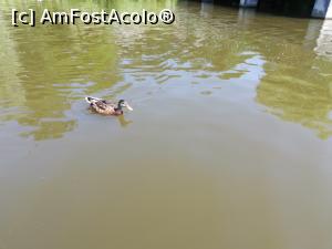 [P08] <strong>Zoo Sibiu</strong> » foto by ⭐ValentinB_88⭐
 - 
<span class="allrVoted glyphicon glyphicon-heart hidden" id="av1235400"></span>
<a class="m-l-10 hidden" id="sv1235400" onclick="voting_Foto_DelVot(,1235400,14876)" role="button">șterge vot <span class="glyphicon glyphicon-remove"></span></a>
<a id="v91235400" class=" c-red"  onclick="voting_Foto_SetVot(1235400)" role="button"><span class="glyphicon glyphicon-heart-empty"></span> <b>LIKE</b> = Votează poza</a> <img class="hidden"  id="f1235400W9" src="/imagini/loader.gif" border="0" /><span class="AjErrMes hidden" id="e1235400ErM"></span>