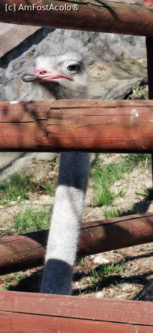 [P01] Salut, ce faci ? » foto by ⭐ValentinB_88⭐
 - 
<span class="allrVoted glyphicon glyphicon-heart hidden" id="av1420028"></span>
<a class="m-l-10 hidden" id="sv1420028" onclick="voting_Foto_DelVot(,1420028,14876)" role="button">șterge vot <span class="glyphicon glyphicon-remove"></span></a>
<a id="v91420028" class=" c-red"  onclick="voting_Foto_SetVot(1420028)" role="button"><span class="glyphicon glyphicon-heart-empty"></span> <b>LIKE</b> = Votează poza</a> <img class="hidden"  id="f1420028W9" src="/imagini/loader.gif" border="0" /><span class="AjErrMes hidden" id="e1420028ErM"></span>