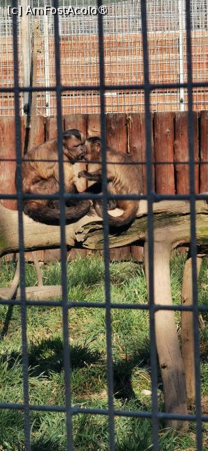 [P10] Treburi serioase pe aici... » foto by ⭐ValentinB_88⭐
 - 
<span class="allrVoted glyphicon glyphicon-heart hidden" id="av1420037"></span>
<a class="m-l-10 hidden" id="sv1420037" onclick="voting_Foto_DelVot(,1420037,14876)" role="button">șterge vot <span class="glyphicon glyphicon-remove"></span></a>
<a id="v91420037" class=" c-red"  onclick="voting_Foto_SetVot(1420037)" role="button"><span class="glyphicon glyphicon-heart-empty"></span> <b>LIKE</b> = Votează poza</a> <img class="hidden"  id="f1420037W9" src="/imagini/loader.gif" border="0" /><span class="AjErrMes hidden" id="e1420037ErM"></span>