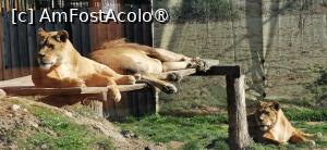 [P13] Salut ce faci? Ai adus m&acirc;ncare?? » foto by ⭐ValentinB_88⭐
 - 
<span class="allrVoted glyphicon glyphicon-heart hidden" id="av1420040"></span>
<a class="m-l-10 hidden" id="sv1420040" onclick="voting_Foto_DelVot(,1420040,14876)" role="button">șterge vot <span class="glyphicon glyphicon-remove"></span></a>
<a id="v91420040" class=" c-red"  onclick="voting_Foto_SetVot(1420040)" role="button"><span class="glyphicon glyphicon-heart-empty"></span> <b>LIKE</b> = Votează poza</a> <img class="hidden"  id="f1420040W9" src="/imagini/loader.gif" border="0" /><span class="AjErrMes hidden" id="e1420040ErM"></span>