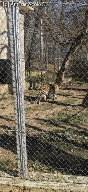 [P02] Simpaticul din foto dădea ture ... » foto by ⭐ValentinB_88⭐
 - 
<span class="allrVoted glyphicon glyphicon-heart hidden" id="av1420029"></span>
<a class="m-l-10 hidden" id="sv1420029" onclick="voting_Foto_DelVot(,1420029,14876)" role="button">șterge vot <span class="glyphicon glyphicon-remove"></span></a>
<a id="v91420029" class=" c-red"  onclick="voting_Foto_SetVot(1420029)" role="button"><span class="glyphicon glyphicon-heart-empty"></span> <b>LIKE</b> = Votează poza</a> <img class="hidden"  id="f1420029W9" src="/imagini/loader.gif" border="0" /><span class="AjErrMes hidden" id="e1420029ErM"></span>