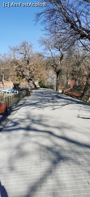 [P07] &Icirc;n plan &icirc;ndepărtat la st&acirc;nga, stejarul secular. » foto by ⭐ValentinB_88⭐
 - 
<span class="allrVoted glyphicon glyphicon-heart hidden" id="av1420034"></span>
<a class="m-l-10 hidden" id="sv1420034" onclick="voting_Foto_DelVot(,1420034,14876)" role="button">șterge vot <span class="glyphicon glyphicon-remove"></span></a>
<a id="v91420034" class=" c-red"  onclick="voting_Foto_SetVot(1420034)" role="button"><span class="glyphicon glyphicon-heart-empty"></span> <b>LIKE</b> = Votează poza</a> <img class="hidden"  id="f1420034W9" src="/imagini/loader.gif" border="0" /><span class="AjErrMes hidden" id="e1420034ErM"></span>