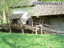 [P14] moara dubla de apa... » foto by ionut73
 - 
<span class="allrVoted glyphicon glyphicon-heart hidden" id="av67992"></span>
<a class="m-l-10 hidden" id="sv67992" onclick="voting_Foto_DelVot(,67992,14876)" role="button">șterge vot <span class="glyphicon glyphicon-remove"></span></a>
<a id="v967992" class=" c-red"  onclick="voting_Foto_SetVot(67992)" role="button"><span class="glyphicon glyphicon-heart-empty"></span> <b>LIKE</b> = Votează poza</a> <img class="hidden"  id="f67992W9" src="/imagini/loader.gif" border="0" /><span class="AjErrMes hidden" id="e67992ErM"></span>