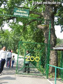 [P02]  -- <small>// FĂRĂ DESCRIERE</small> » foto by raly
 - 
<span class="allrVoted glyphicon glyphicon-heart hidden" id="av133431"></span>
<a class="m-l-10 hidden" id="sv133431" onclick="voting_Foto_DelVot(,133431,14876)" role="button">șterge vot <span class="glyphicon glyphicon-remove"></span></a>
<a id="v9133431" class=" c-red"  onclick="voting_Foto_SetVot(133431)" role="button"><span class="glyphicon glyphicon-heart-empty"></span> <b>LIKE</b> = Votează poza</a> <img class="hidden"  id="f133431W9" src="/imagini/loader.gif" border="0" /><span class="AjErrMes hidden" id="e133431ErM"></span>