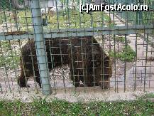 [P07]  -- <small>// FĂRĂ DESCRIERE</small> » foto by raly
 - 
<span class="allrVoted glyphicon glyphicon-heart hidden" id="av133440"></span>
<a class="m-l-10 hidden" id="sv133440" onclick="voting_Foto_DelVot(,133440,14876)" role="button">șterge vot <span class="glyphicon glyphicon-remove"></span></a>
<a id="v9133440" class=" c-red"  onclick="voting_Foto_SetVot(133440)" role="button"><span class="glyphicon glyphicon-heart-empty"></span> <b>LIKE</b> = Votează poza</a> <img class="hidden"  id="f133440W9" src="/imagini/loader.gif" border="0" /><span class="AjErrMes hidden" id="e133440ErM"></span>