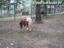 [P08]  -- <small>// FĂRĂ DESCRIERE</small> » foto by raly
 - 
<span class="allrVoted glyphicon glyphicon-heart hidden" id="av133441"></span>
<a class="m-l-10 hidden" id="sv133441" onclick="voting_Foto_DelVot(,133441,14876)" role="button">șterge vot <span class="glyphicon glyphicon-remove"></span></a>
<a id="v9133441" class=" c-red"  onclick="voting_Foto_SetVot(133441)" role="button"><span class="glyphicon glyphicon-heart-empty"></span> <b>LIKE</b> = Votează poza</a> <img class="hidden"  id="f133441W9" src="/imagini/loader.gif" border="0" /><span class="AjErrMes hidden" id="e133441ErM"></span>