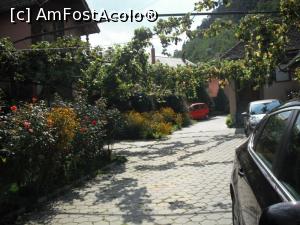 [P20] Curtea. Roșul de se vede e Matizul nostru.  » foto by Zoazore
 - 
<span class="allrVoted glyphicon glyphicon-heart hidden" id="av900103"></span>
<a class="m-l-10 hidden" id="sv900103" onclick="voting_Foto_DelVot(,900103,14990)" role="button">șterge vot <span class="glyphicon glyphicon-remove"></span></a>
<a id="v9900103" class=" c-red"  onclick="voting_Foto_SetVot(900103)" role="button"><span class="glyphicon glyphicon-heart-empty"></span> <b>LIKE</b> = Votează poza</a> <img class="hidden"  id="f900103W9" src="/imagini/loader.gif" border="0" /><span class="AjErrMes hidden" id="e900103ErM"></span>