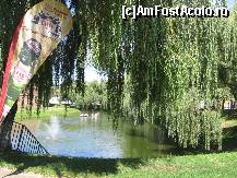 [P08] Bărcuţe şi bener pe lacul care înconjoară cetatea » foto by Michi
 - 
<span class="allrVoted glyphicon glyphicon-heart hidden" id="av451854"></span>
<a class="m-l-10 hidden" id="sv451854" onclick="voting_Foto_DelVot(,451854,15092)" role="button">șterge vot <span class="glyphicon glyphicon-remove"></span></a>
<a id="v9451854" class=" c-red"  onclick="voting_Foto_SetVot(451854)" role="button"><span class="glyphicon glyphicon-heart-empty"></span> <b>LIKE</b> = Votează poza</a> <img class="hidden"  id="f451854W9" src="/imagini/loader.gif" border="0" /><span class="AjErrMes hidden" id="e451854ErM"></span>