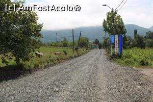 [P01] Intrarea &icirc;n Comuna Eftimie Murgu, fostă Rudăria, se vede drumul ce era pregătit pentru asfaltare » foto by mprofeanu
 - 
<span class="allrVoted glyphicon glyphicon-heart hidden" id="av1181340"></span>
<a class="m-l-10 hidden" id="sv1181340" onclick="voting_Foto_DelVot(,1181340,15101)" role="button">șterge vot <span class="glyphicon glyphicon-remove"></span></a>
<a id="v91181340" class=" c-red"  onclick="voting_Foto_SetVot(1181340)" role="button"><span class="glyphicon glyphicon-heart-empty"></span> <b>LIKE</b> = Votează poza</a> <img class="hidden"  id="f1181340W9" src="/imagini/loader.gif" border="0" /><span class="AjErrMes hidden" id="e1181340ErM"></span>