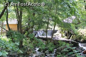 [P10] Eftimie Murgu, Morile de apă de la Rudăria, Barajul din trunchiuri de lemn asfel amenajat pentru Moara B&acirc;țolea, printre copaci se vede Moara &Icirc;ndărătnică, cea nouă.... » foto by mprofeanu
 - 
<span class="allrVoted glyphicon glyphicon-heart hidden" id="av1181349"></span>
<a class="m-l-10 hidden" id="sv1181349" onclick="voting_Foto_DelVot(,1181349,15101)" role="button">șterge vot <span class="glyphicon glyphicon-remove"></span></a>
<a id="v91181349" class=" c-red"  onclick="voting_Foto_SetVot(1181349)" role="button"><span class="glyphicon glyphicon-heart-empty"></span> <b>LIKE</b> = Votează poza</a> <img class="hidden"  id="f1181349W9" src="/imagini/loader.gif" border="0" /><span class="AjErrMes hidden" id="e1181349ErM"></span>