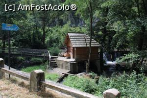 [P11] Eftimie Murgu, Morile de apă de la Rudăria, Moara &Icirc;ndărătnică dintre r&acirc;uri » foto by mprofeanu
 - 
<span class="allrVoted glyphicon glyphicon-heart hidden" id="av1181350"></span>
<a class="m-l-10 hidden" id="sv1181350" onclick="voting_Foto_DelVot(,1181350,15101)" role="button">șterge vot <span class="glyphicon glyphicon-remove"></span></a>
<a id="v91181350" class=" c-red"  onclick="voting_Foto_SetVot(1181350)" role="button"><span class="glyphicon glyphicon-heart-empty"></span> <b>LIKE</b> = Votează poza</a> <img class="hidden"  id="f1181350W9" src="/imagini/loader.gif" border="0" /><span class="AjErrMes hidden" id="e1181350ErM"></span>