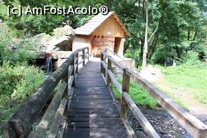 [P13] Eftimie Murgu, Morile de apă de la Rudăria, Moara &Icirc;ndărătnică dintre r&acirc;uri » foto by mprofeanu
 - 
<span class="allrVoted glyphicon glyphicon-heart hidden" id="av1181352"></span>
<a class="m-l-10 hidden" id="sv1181352" onclick="voting_Foto_DelVot(,1181352,15101)" role="button">șterge vot <span class="glyphicon glyphicon-remove"></span></a>
<a id="v91181352" class=" c-red"  onclick="voting_Foto_SetVot(1181352)" role="button"><span class="glyphicon glyphicon-heart-empty"></span> <b>LIKE</b> = Votează poza</a> <img class="hidden"  id="f1181352W9" src="/imagini/loader.gif" border="0" /><span class="AjErrMes hidden" id="e1181352ErM"></span>