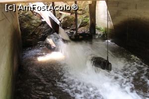 [P17] Eftimie Murgu, Morile de apă de la Rudăria, Moara &Icirc;ndărătnică dintre r&acirc;uri, spatele și dedesubtul ei, jgeabul, roata cu palete și furca... » foto by mprofeanu
 - 
<span class="allrVoted glyphicon glyphicon-heart hidden" id="av1181356"></span>
<a class="m-l-10 hidden" id="sv1181356" onclick="voting_Foto_DelVot(,1181356,15101)" role="button">șterge vot <span class="glyphicon glyphicon-remove"></span></a>
<a id="v91181356" class=" c-red"  onclick="voting_Foto_SetVot(1181356)" role="button"><span class="glyphicon glyphicon-heart-empty"></span> <b>LIKE</b> = Votează poza</a> <img class="hidden"  id="f1181356W9" src="/imagini/loader.gif" border="0" /><span class="AjErrMes hidden" id="e1181356ErM"></span>