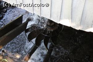 [P24] Eftimie Murgu, Morile de apă de la Rudăria, Moara Trăiloanea, spatele ei... » foto by mprofeanu
 - 
<span class="allrVoted glyphicon glyphicon-heart hidden" id="av1181363"></span>
<a class="m-l-10 hidden" id="sv1181363" onclick="voting_Foto_DelVot(,1181363,15101)" role="button">șterge vot <span class="glyphicon glyphicon-remove"></span></a>
<a id="v91181363" class=" c-red"  onclick="voting_Foto_SetVot(1181363)" role="button"><span class="glyphicon glyphicon-heart-empty"></span> <b>LIKE</b> = Votează poza</a> <img class="hidden"  id="f1181363W9" src="/imagini/loader.gif" border="0" /><span class="AjErrMes hidden" id="e1181363ErM"></span>